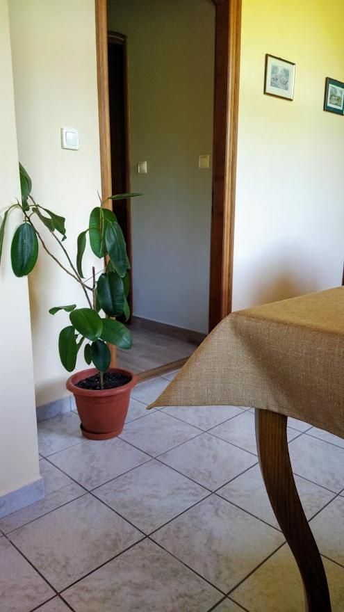 Hotel Bodo Haz à Gyenesdiás Extérieur photo